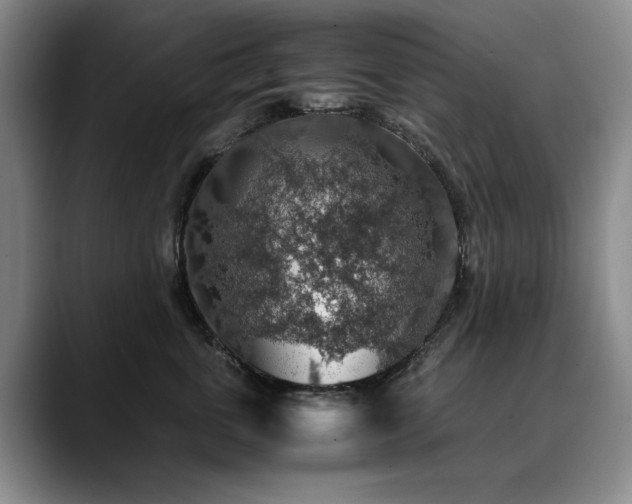 X0000090700763200707201157