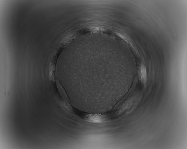 X0000090700766200707201157