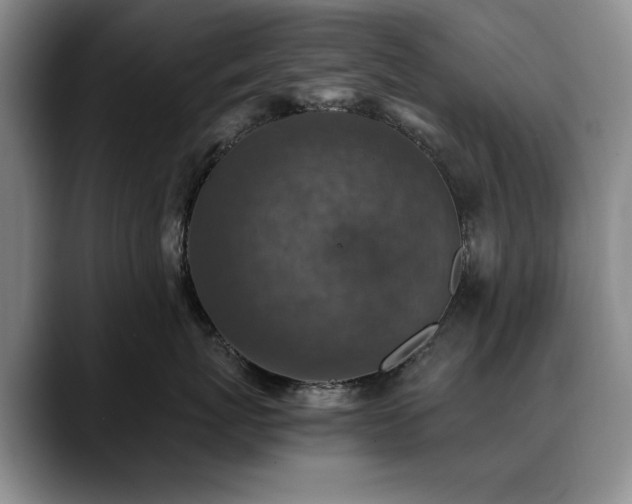 X0000090700767200707201157