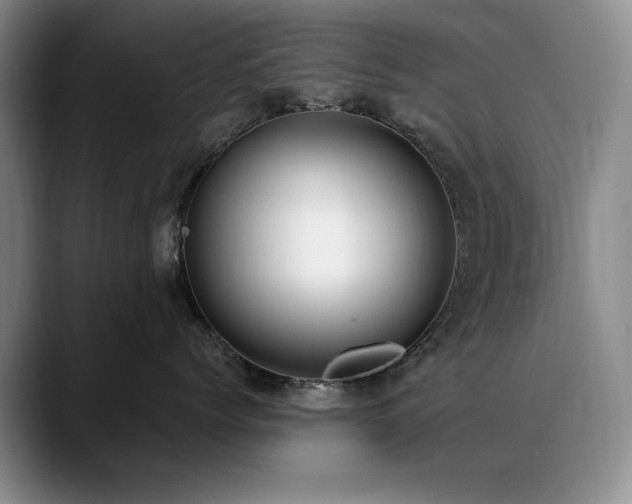 X0000090700768200707201157