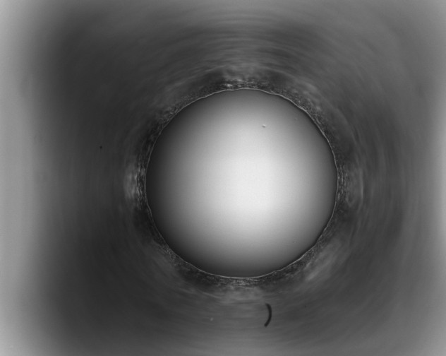 X0000090700770200707201157