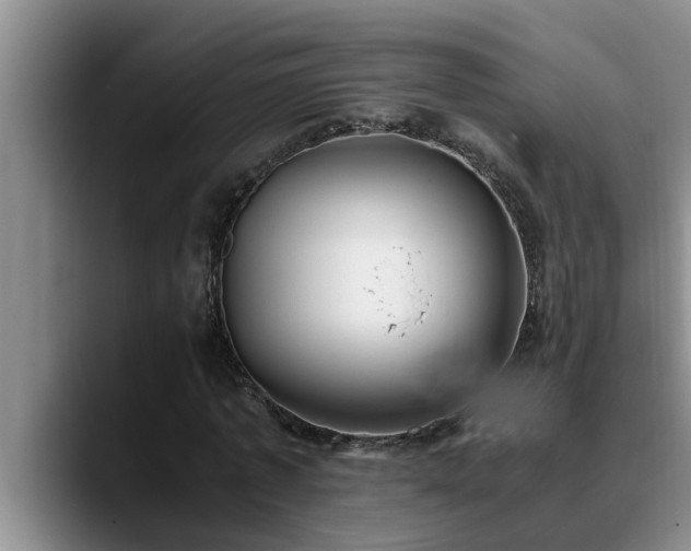 X0000090700773200707201157