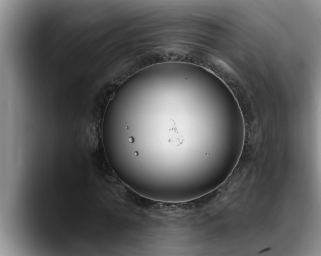 X0000090700774200707201157