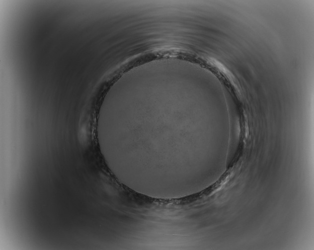 X0000090700775200707201157