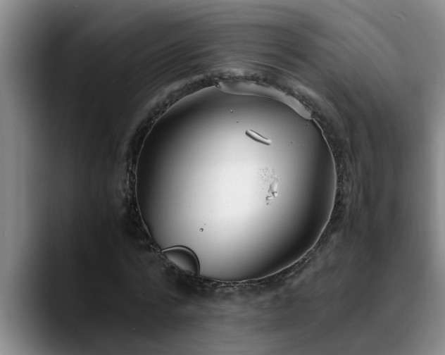 X0000090700776200707201157