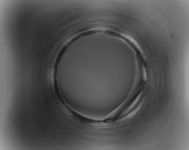 X0000090700783200707201156