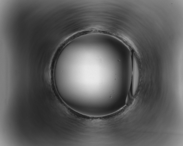 X0000090700784200707201156