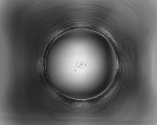 X0000090700786200707201156