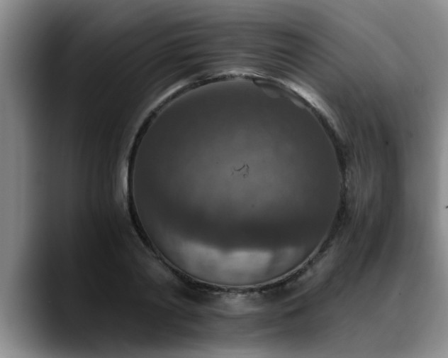 X0000090700790200707201156
