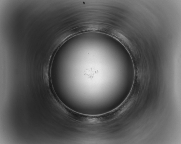 X0000090700794200707201156