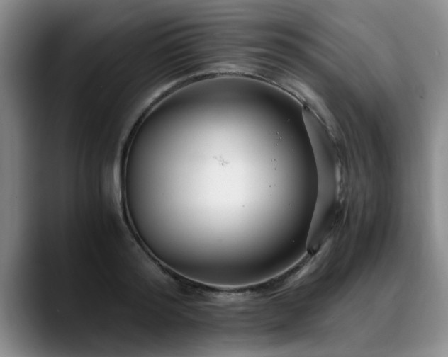 X0000090700796200707201156