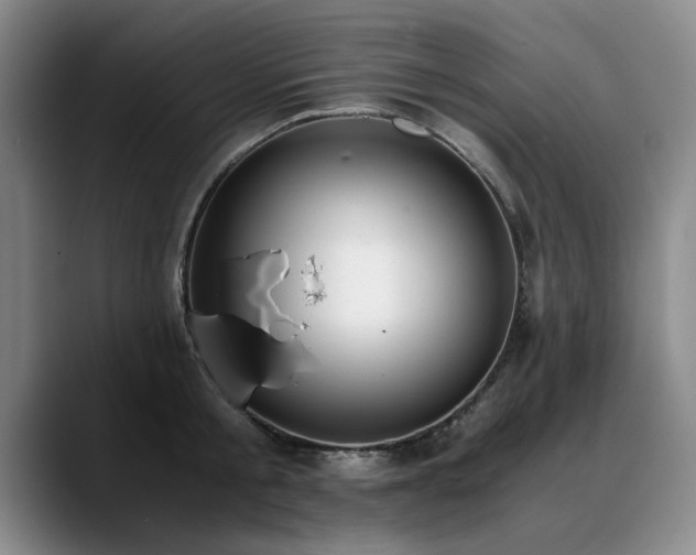 X0000090700805200707201156