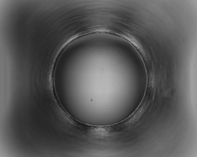 X0000090700806200707201156