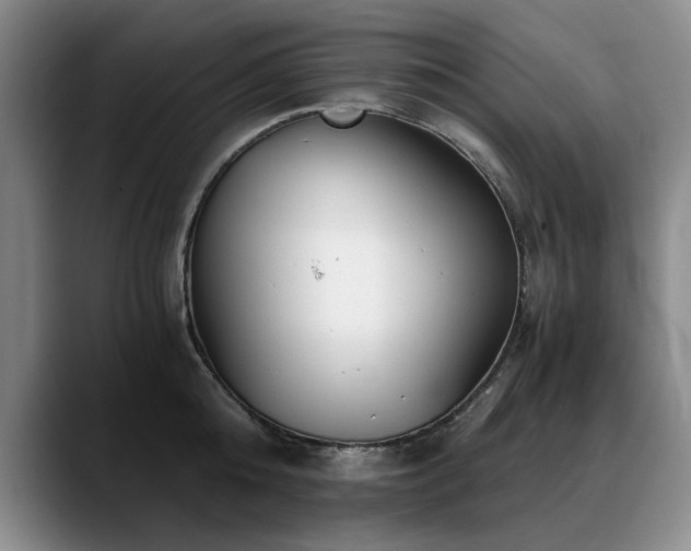 X0000090700808200707201156