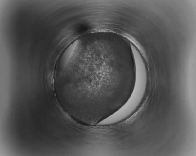 X0000090700809200707201156