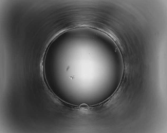 X0000090700814200707201156