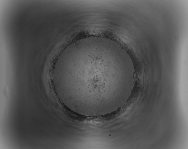 X0000090700817200707201156