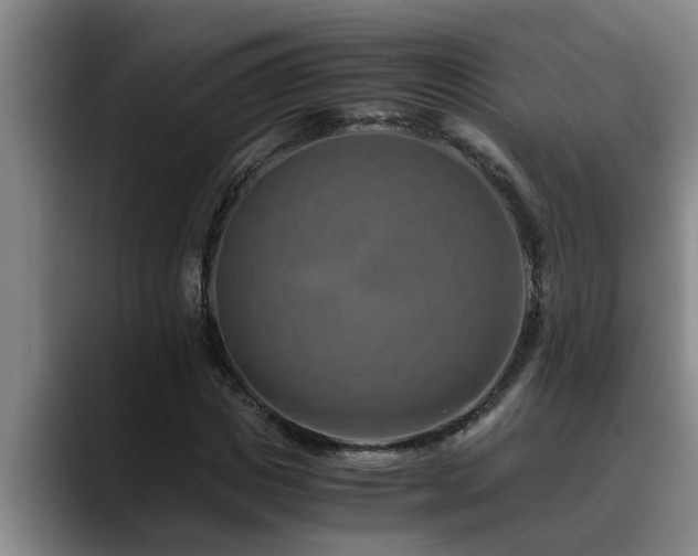 X0000090700825200707201156