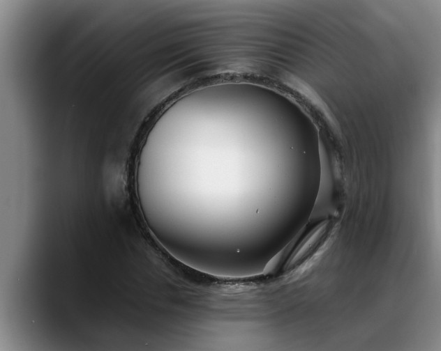 X0000090700826200707201156