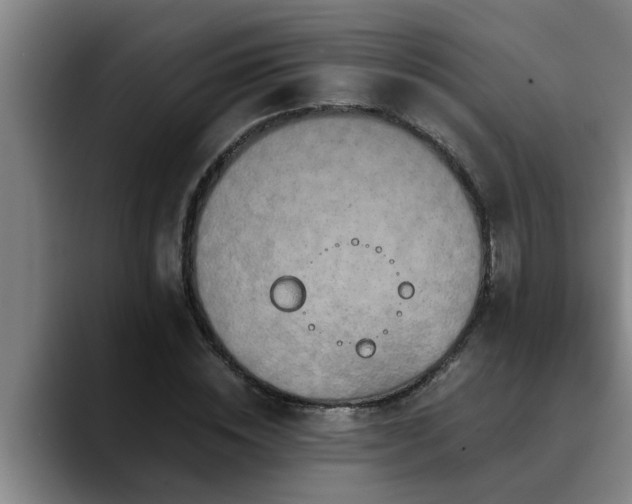 X0000090700828200707201156