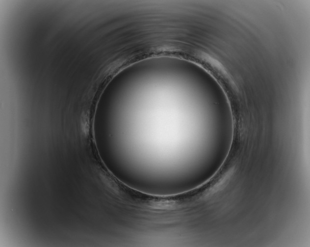 X0000090700833200707201156