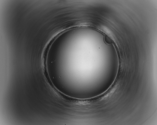 X0000090700835200707201156