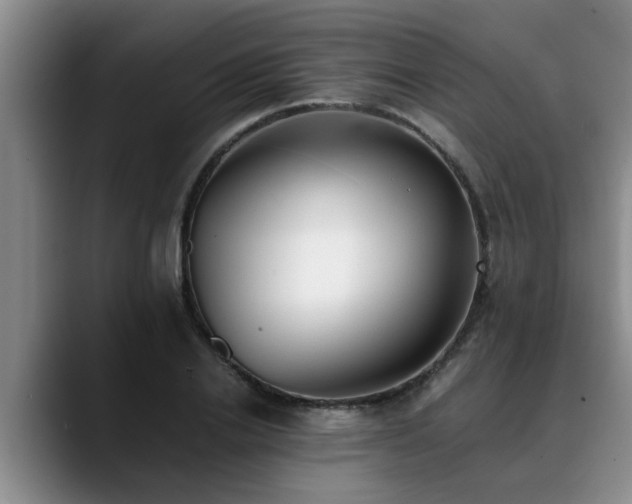 X0000090700838200707201156