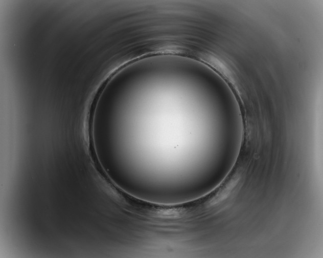 X0000090700843200707201156