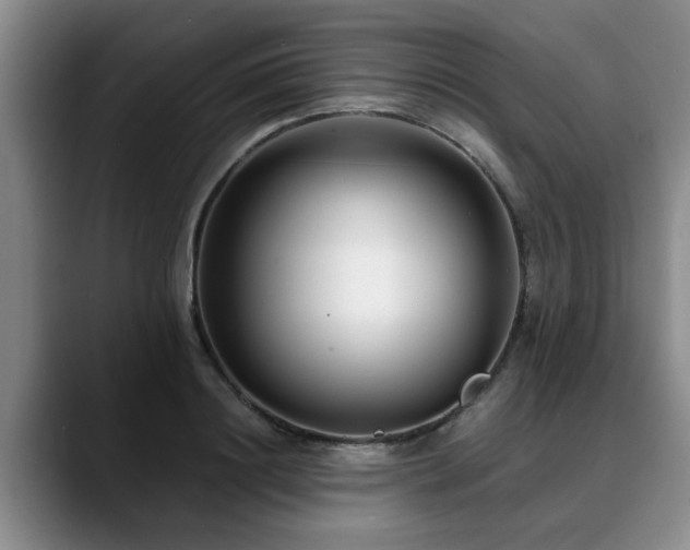 X0000090700844200707201156