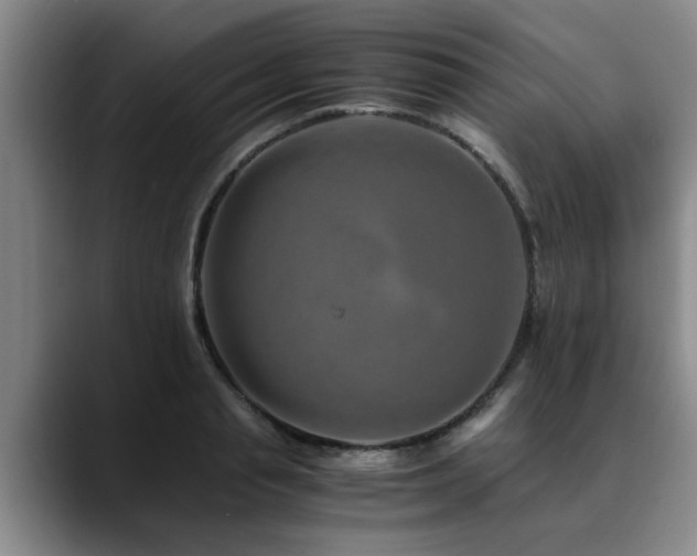 X0000090700845200707201156