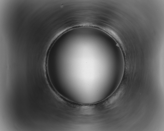 X0000090700847200707201156