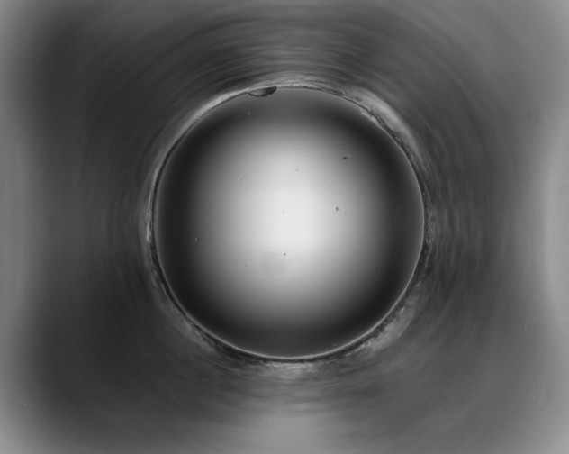 X0000090700860200707201156