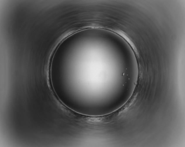 X0000090700861200707201156