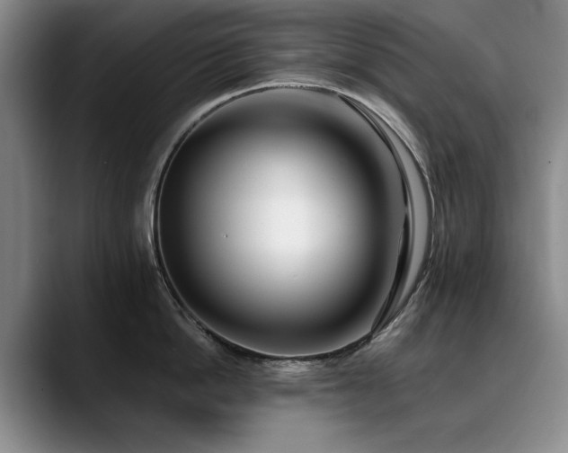 X0000090700862200707201156