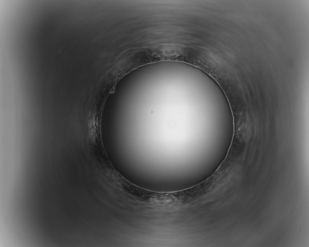 X0000090700866200707201155
