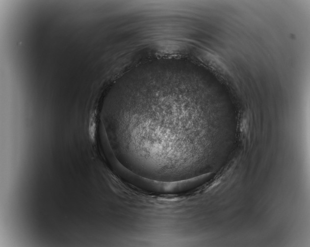 X0000090700868200707201155