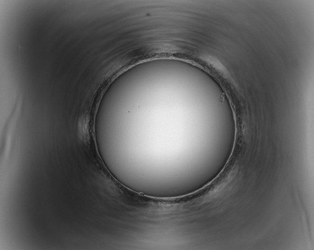 X0000090700873200707201155