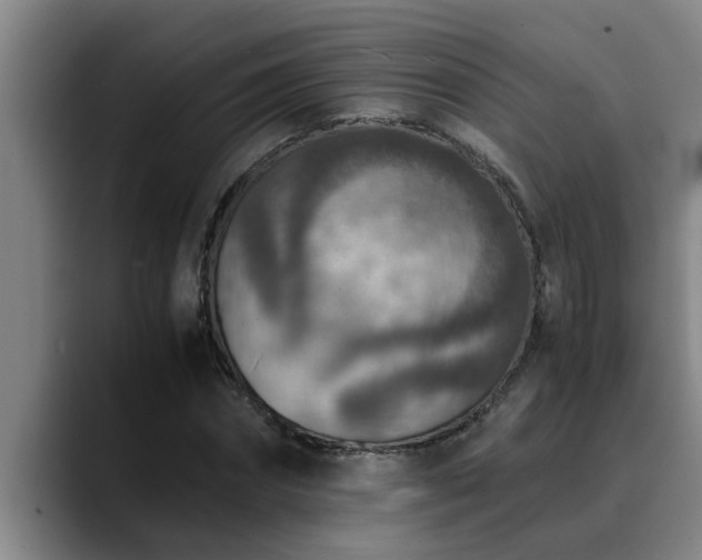 X0000090700874200707201155