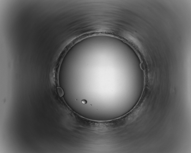 X0000090700875200707201155