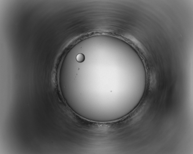 X0000090700878200707201155
