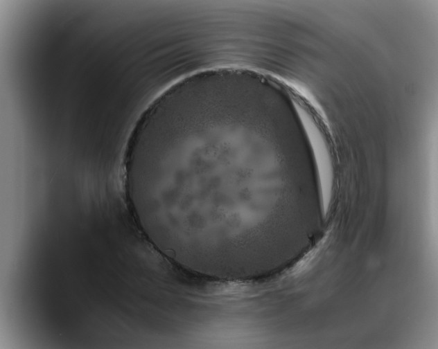 X0000090700879200707201155