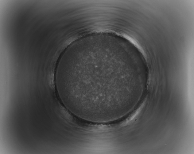 X0000090700881200707201155
