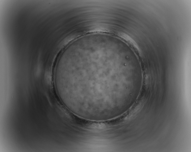 X0000090700882200707201155