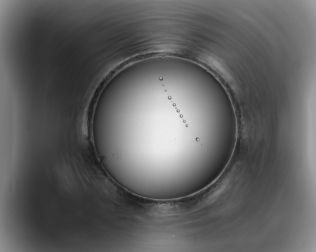 X0000090700883200707201155