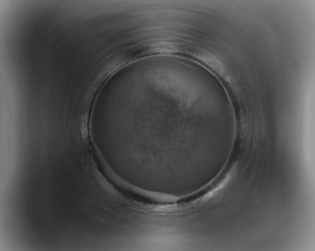 X0000090700889200707201155
