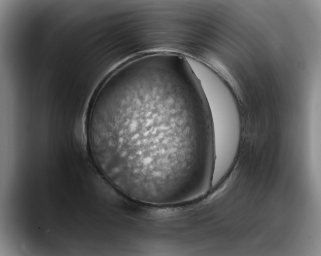 X0000090700892200707201155