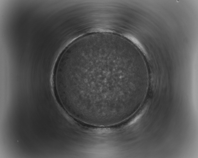 X0000090700893200707201155