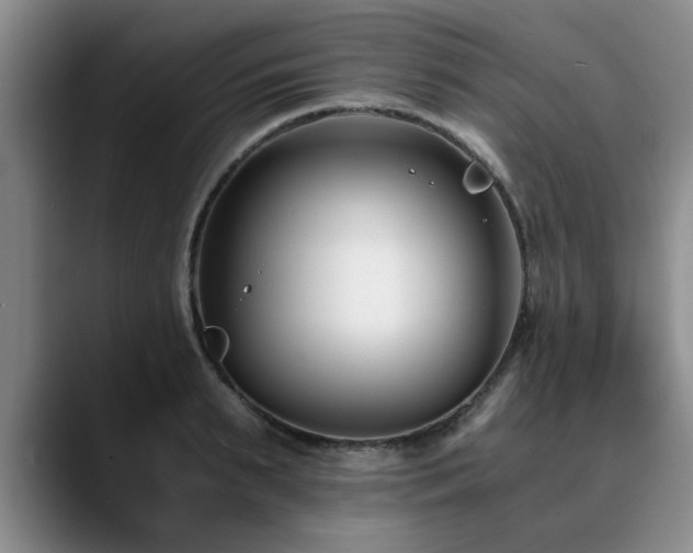 X0000090700895200707201155