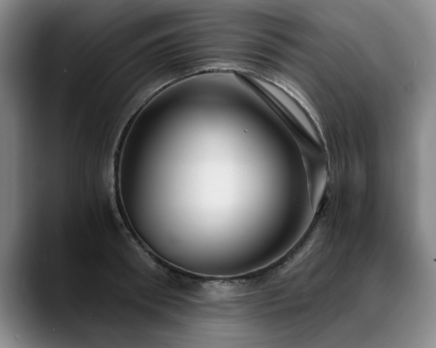 X0000090700898200707201155