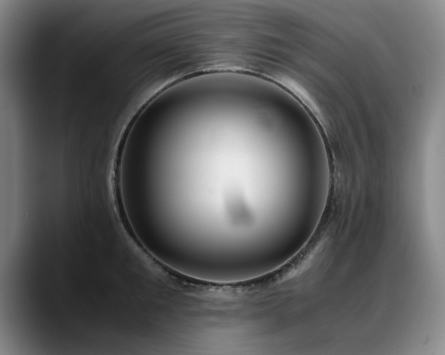 X0000090700901200707201155